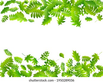 Tree foliage bright vector composition. Realistic tree foliage macro. Rowan and oak leaves falling. Botanical eco concept. Farm plantation vivid vector.