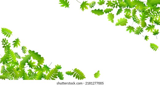 Tree foliage lush vector backdrop. Realistic tree foliage macro. Rowan and oak leaves falling. Botanical organic wallpaper. Plant elements beautiful vector.