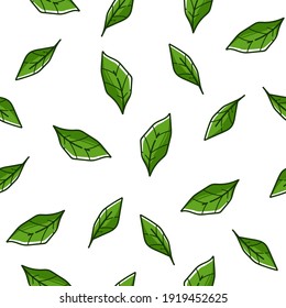 Tree foliage or mint leaves falling down. Evergreen bushes and leafage, tropical plant or botanic flora. Background or print with freshness and greenery. Seamless pattern, vector in flat style