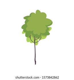 tree foliage nature botanical icon on white background vector illustration vector illustration