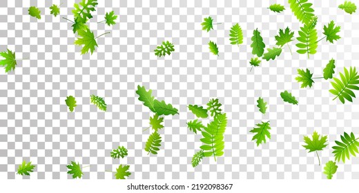 Tree foliage subtle vector backdrop. Realistic tree foliage macro. Mix of many different leaves pattern. Botanical organic concept. Fresh floral vivid vector.