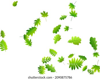 Tree foliage subtle vector composition. Wild tree foliage macro. Mix of many different leaves pattern. Herbal natural concept. Plant elements beautiful vector.