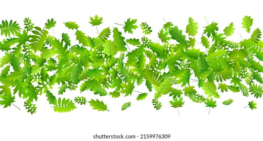 Tree foliage subtle vector design. Tropical tree foliage macro. Mix of many different leaves isolated. Botanical natural design. Plant elements rustic vector.