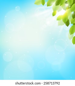Tree foliage with sunlight on sky. Floral nature spring background