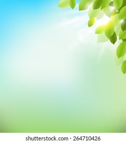 Tree foliage with sunlight on sky. Floral nature spring background