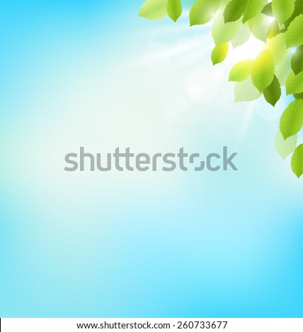 Tree foliage with sunlight on sky. Floral nature spring background