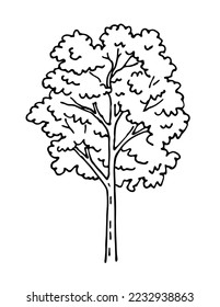 Tree with foliage. Template element for design and decoration. Nature and forest. Cartoon vector black and white illustration. Hand drawn outline ink sketch