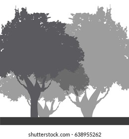 tree foliage trunk branch image