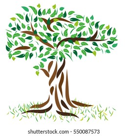 Tree with foliage. Vector illustration of a deciduous tree. Tree with green leaves.