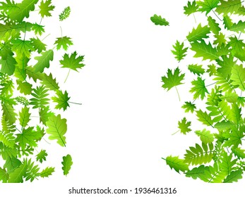 Tree foliage vivid vector pattern. Realistic tree foliage closeup. Mix of many different leaves falling. Herbal natural design. Plant elements rustic vector.