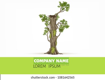 Tree font.Twisted tree  in the shape of letter.Letter A B C vector alphabet with tree. ABC concept type as logo.Eco concept. 