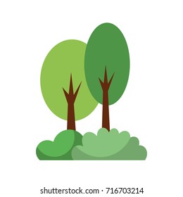 tree forest foliage wooden trunk natural