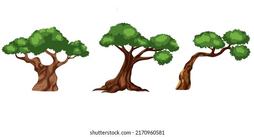 Tree forest green Wood bonsai