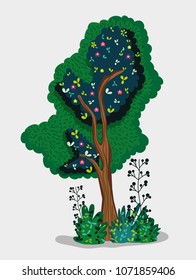 Tree forest isolated