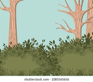 tree forest landscape blurred colors
