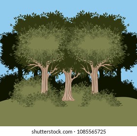 tree forest landscape blurred colors