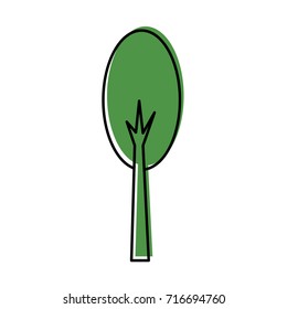 tree forest natural camping foliage plant