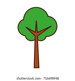 tree forest natural camping foliage plant