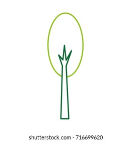 tree forest natural camping foliage plant