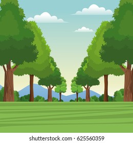 tree forest natural sky meadow mountain