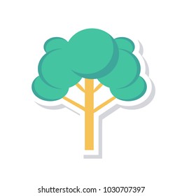 tree forest nature