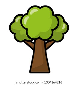 tree forest nature