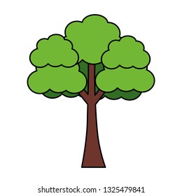 tree forest nature