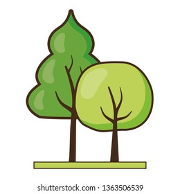tree forest nature