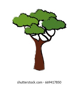 tree for forest park and garden plant natural