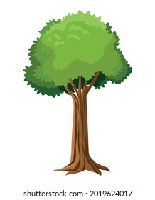 tree forest plant nature icon