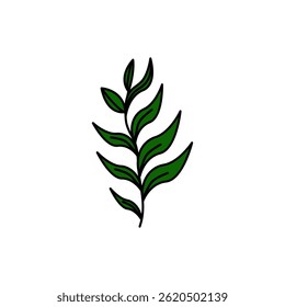 Diseño de logotipo de Vector de planta forestal