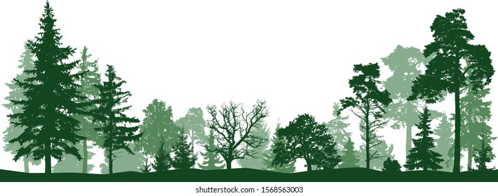Tree forest vector silhouette. Isolated set