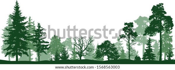 Tree forest vector\
silhouette. Isolated set