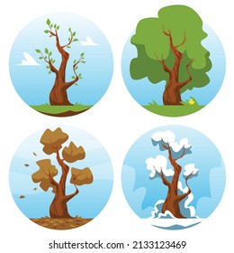 Tree in four different seasons, flat vector icon illustration isolated on white background. Set of spring, summer, autumn and winter tree - concept of seasons and weather change.