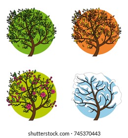 A tree in four different seasons Set of four trees in different seasons, vector illustration