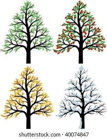 A tree in four different seasons (spring, summer, winter and fall)