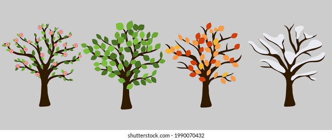 Tree in four season graphic design. Pink blossom, orange leaves, white snow and green leaves. Isolated vector illustation for each time year.