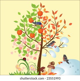 Tree. Four season. See my gallery for more
