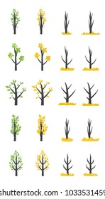 Tree in four seasons - spring, summer, autumn, winter. Vector illustration. Isolated on white background.