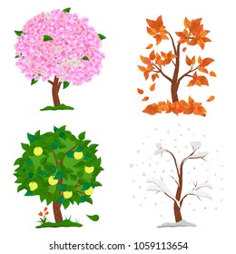 Tree in four seasons - spring, summer, autumn, winter. Collection of Apple trees isolated on white background. Trees with green and orange leaves, flowers and snow on the branches. Vector illustration
