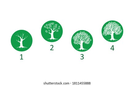 Árbol en cuatro estaciones - primavera, verano, otoño, invierno. Ilustración vectorial. Aislado sobre fondo blanco.