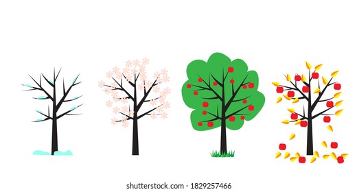 A tree in four seasons. Spring summer autumn and winter tree. Vector illustration. 