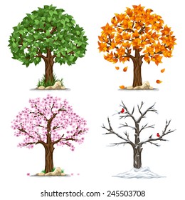 Tree in four seasons - spring, summer, autumn, winter. Vector illustration. Isolated on white background.
