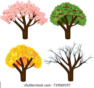 Tree at four seasons: spring, summer, autumn, winter