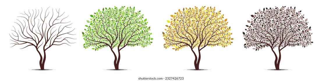 Tree four seasons. Winter, Spring, Summer, Autumn. Detailed leaves vector collection