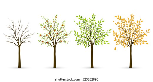 Tree in four seasons - winter, spring, summer, autumn. Vector illustration