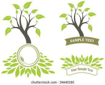 tree with frame