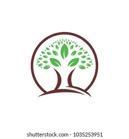 tree with a frame design of circle and circle of land