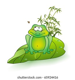 tree frog