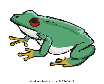 tree frog, illustration of wildlife, zoo, wildlife, animal of rainforest